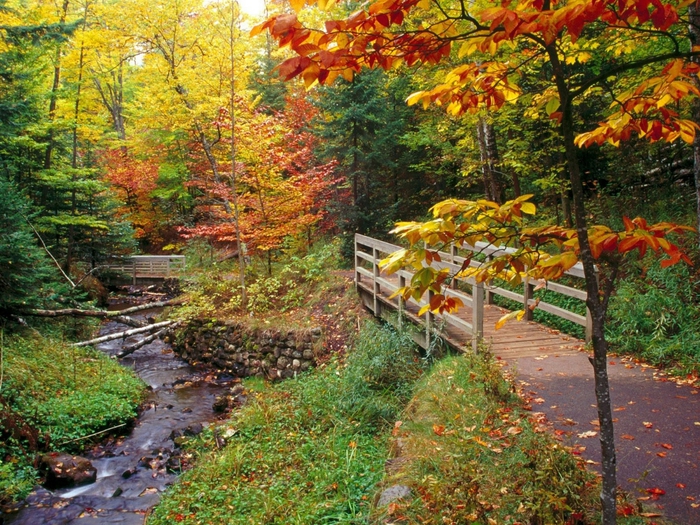 Munising Falls Trail, Alger County, Michigan (700x525, 410Kb)