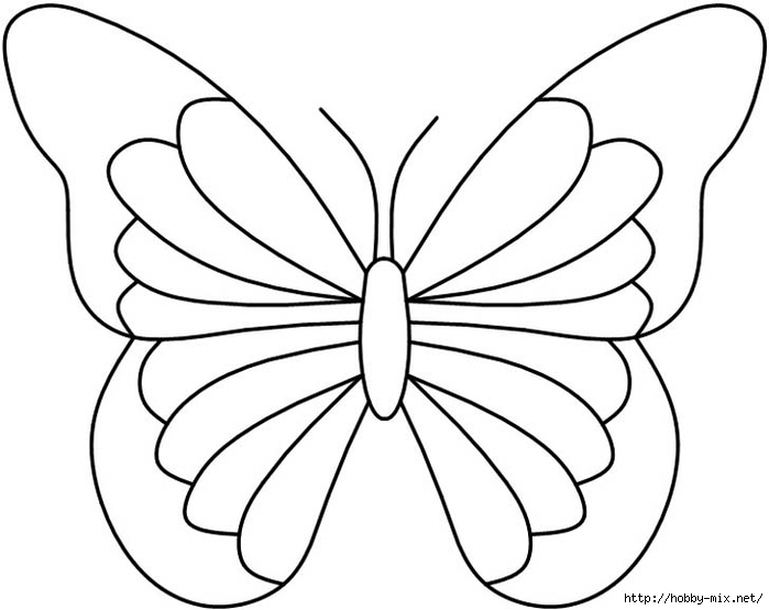 4butterfly12 (700x554, 126Kb)