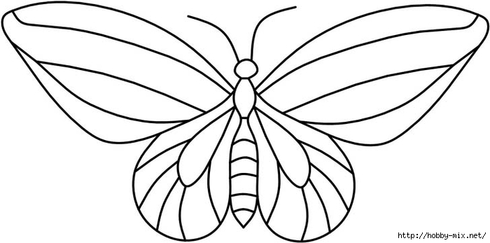 4butterfly20 (700x347, 101Kb)