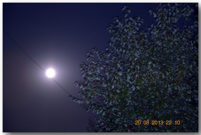 3587765_DSC_1668 (700x471, 228Kb)