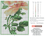  Riolis_753-2 (700x559, 408Kb)