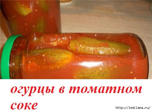 3925311_ogyrci_v_tomate (500x366, 93Kb)