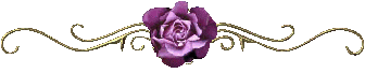 63007905_49962973_24988645_22740792_048 (336x68, 13Kb)