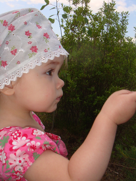 DSC05795 (525x700, 169Kb)