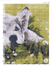  13 (500x700, 402Kb)