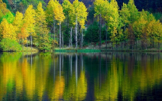 platinumwall.ru_201001260228578894 (521x325, 182Kb)