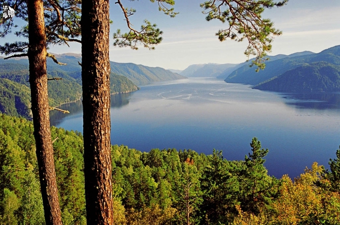 4741801_information_items_1238726760 (700x464, 305Kb)
