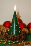  3150053_48628thumb500 (465x700, 167Kb)