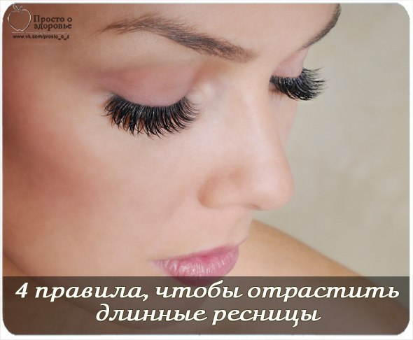 NrAOasPnyuk (590x486, 42Kb)