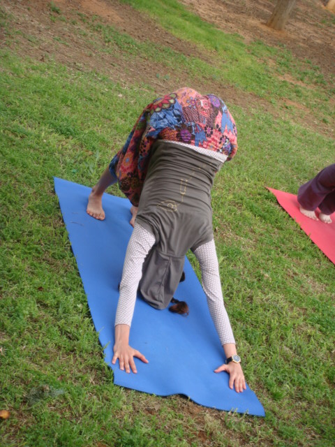 adho_mukho_shvanasana (480x640, 136Kb)