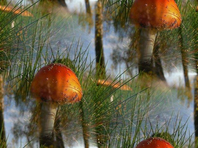 93387764_large_defne_10 (640x480, 68Kb)