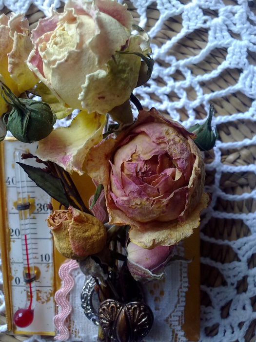 050320107169 (525x700, 101Kb)