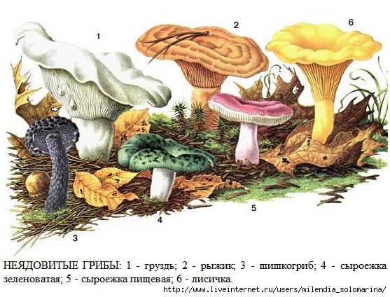 Воспоминание | Пикабу