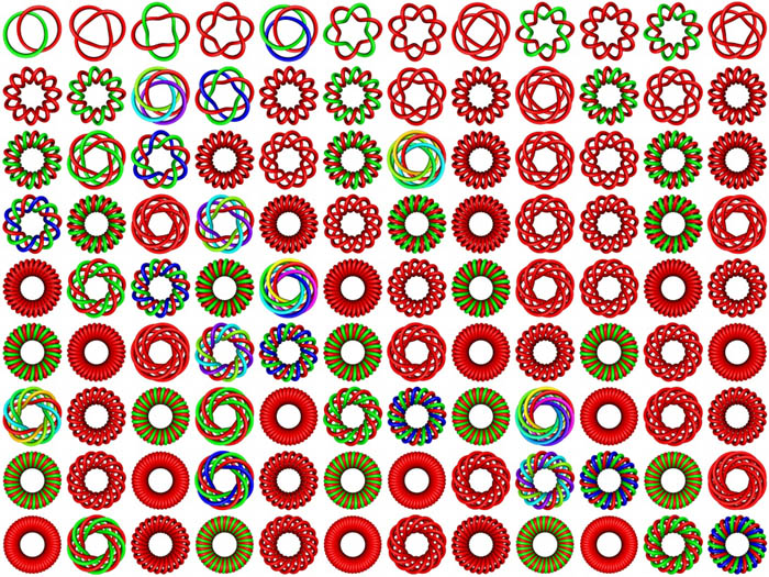 torus-zoo-xings (700x525, 219Kb)