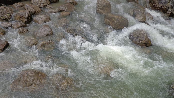 DSC03966 (700x393, 234Kb)
