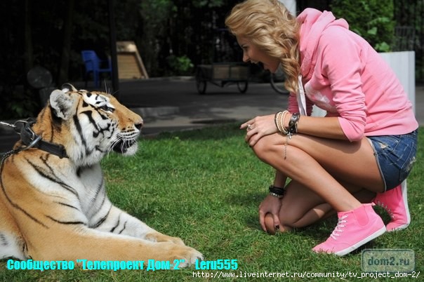 4611276_kmfSiA954I (604x402, 156Kb)