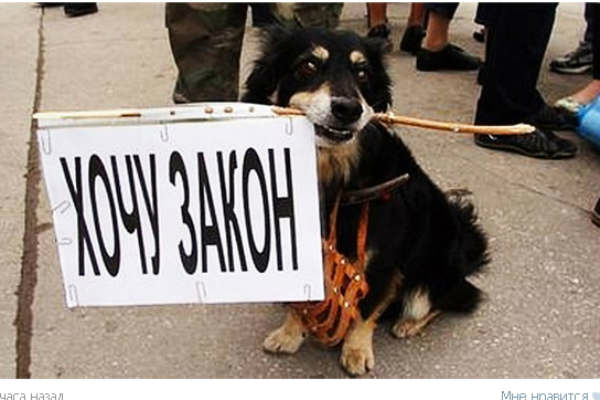закон (600x400, 118Kb)