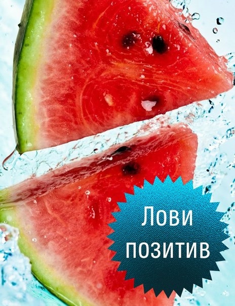 BpPr2jomBuQ (464x604, 185Kb)