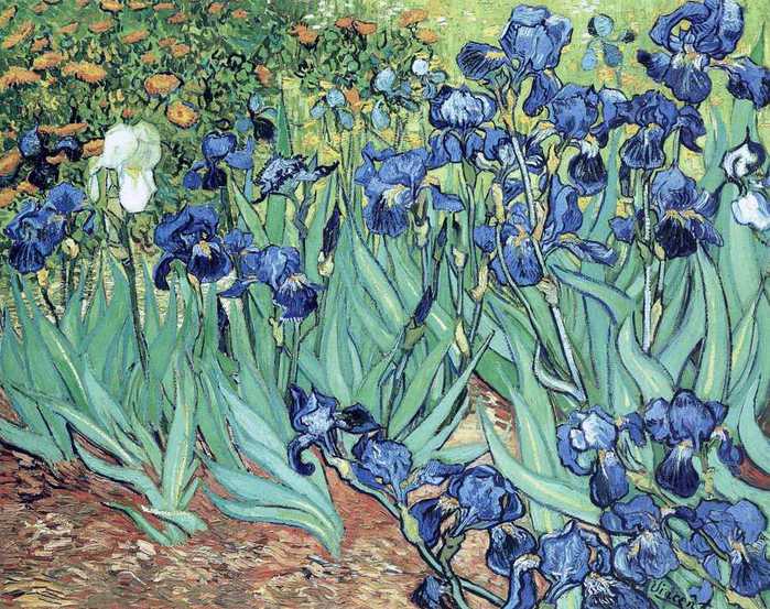 Irises, 1889 (700x553, 90Kb)