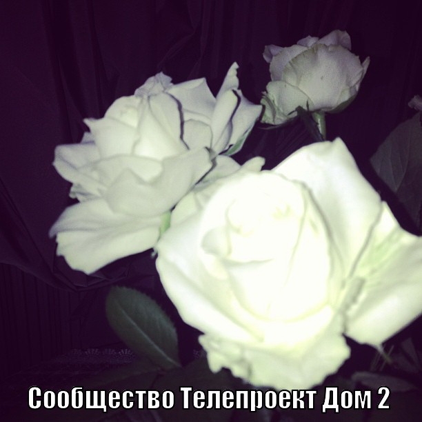 27e85d900c5211e3b04622000a1f9be0_7 (612x612, 142Kb)