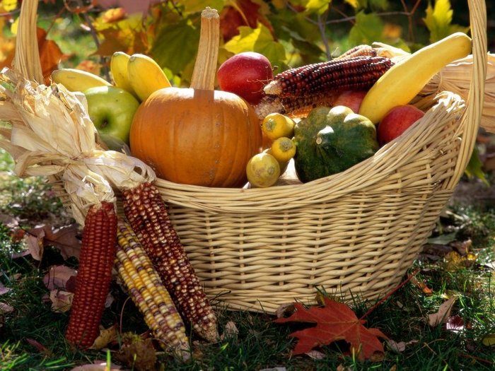 78042022_7902_1 (700x525, 107Kb)