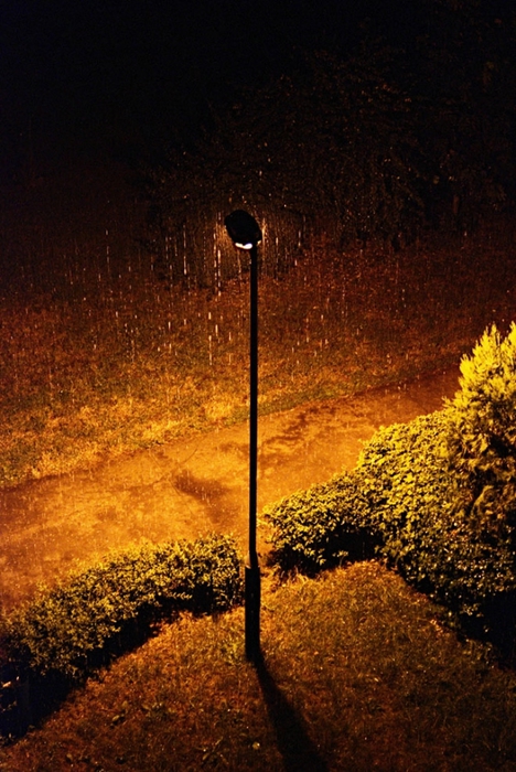 7-rain-photography (468x700, 302Kb)