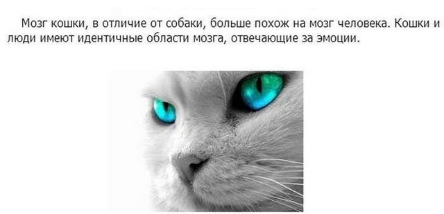 5 (640x309, 58Kb)