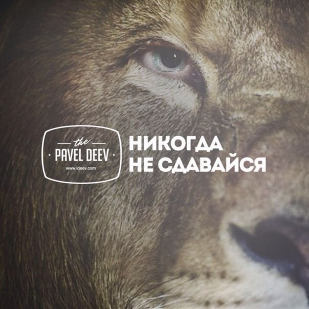 Смешные картинки, никогда не сдавайся картинки с надписью