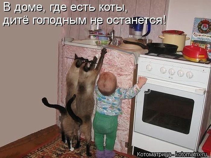 http://img0.liveinternet.ru/images/attach/b/4/104/500/104500272_kotomatrix_23.jpg