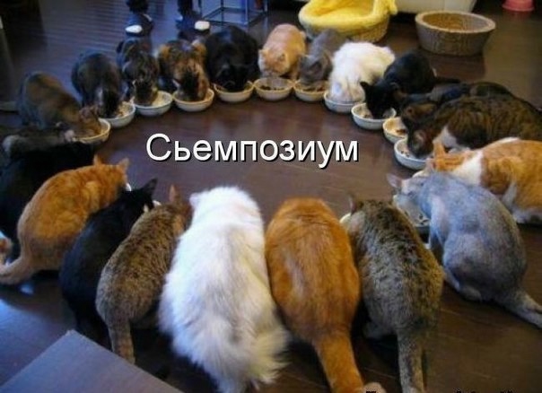 http://img0.liveinternet.ru/images/attach/b/4/104/500/104500286_PmXnSJCnlSU.jpg