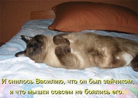 http://img0.liveinternet.ru/images/attach/b/4/104/500/104500290_ynmvsz93f2U.jpg