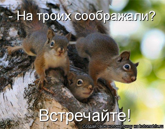 http://img0.liveinternet.ru/images/attach/b/4/104/514/104514164_large_463084.jpg