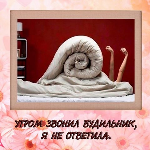 1186199_422781617825768_1147748138_n (480x480, 99Kb)