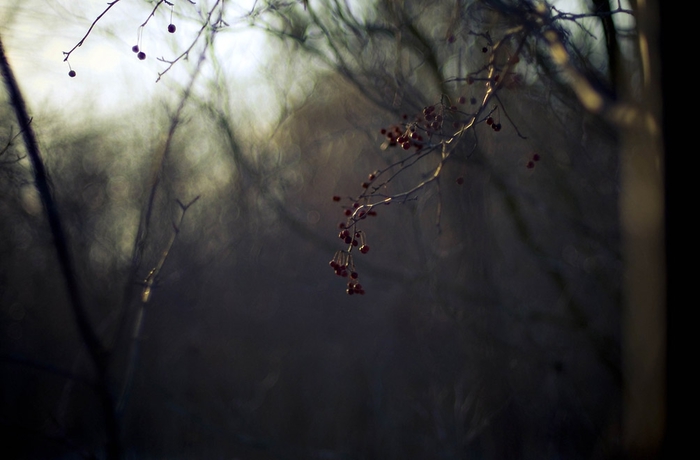 2387815_827e3033 (700x460, 154Kb)
