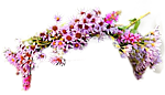 0_97985_6947dd70_S (150x86, 26Kb)