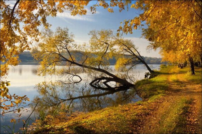 beautiful_fall_in_photos_41 (700x464, 96Kb)