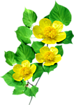4138752_0_a0ad5_b001495 (106x150, 26Kb)
