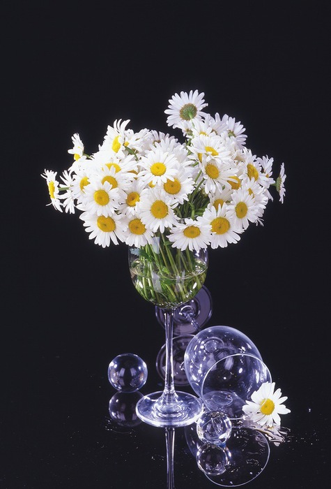0_7a78d_8e6a77a7_XL (475x700, 77Kb)