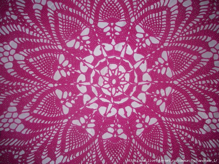 100_1896 (700x525, 469Kb)