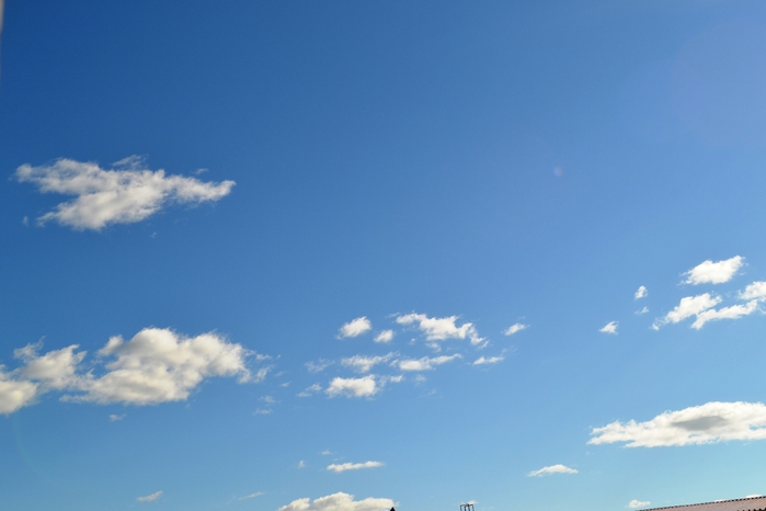 DSC_0895 (700x466, 146Kb)