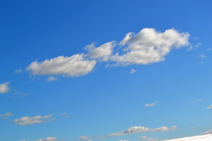 DSC_0897 (700x466, 146Kb)