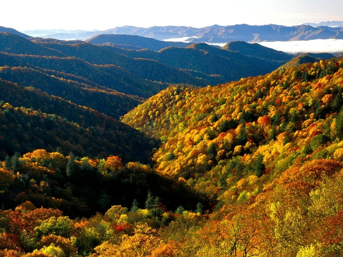 Deep Creek Valley, Great Smoky Mountains National Park, Tennessee (700x525, 352Kb)