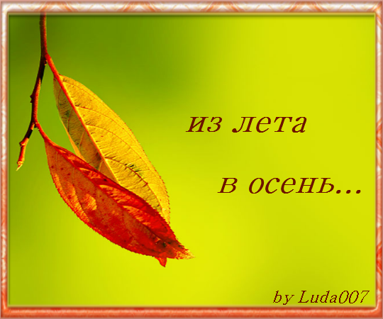 3427527_iz_leta (540x450, 236Kb)