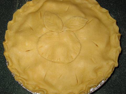 1266984155_img_8116-pir-5 (480x360, 20Kb)