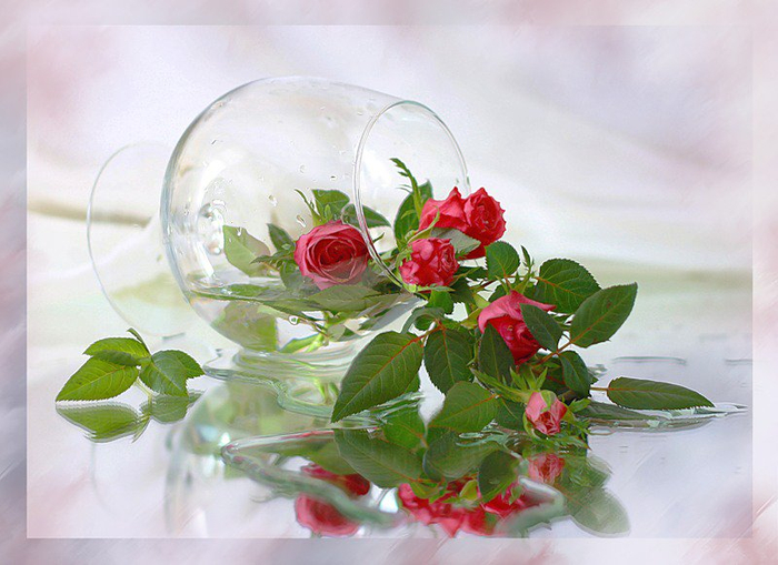 89295d26b060516747ee2999ac621763 (700x509, 347Kb)