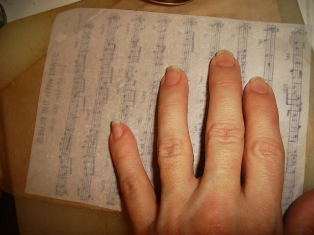 5001 (640x480, 89Kb)