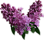 0_6b3a8_c28ed9aa_S.jpg (150x136, 39Kb)