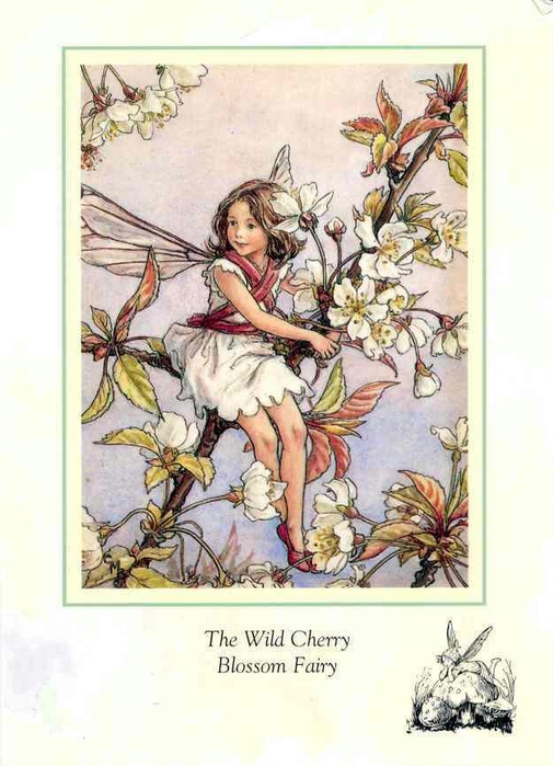 Wild Cherry Fairy (505x700, 218Kb)