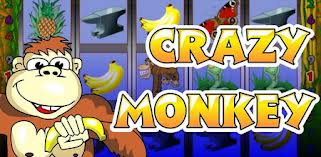 crazy-monkey (321x157, 15Kb)