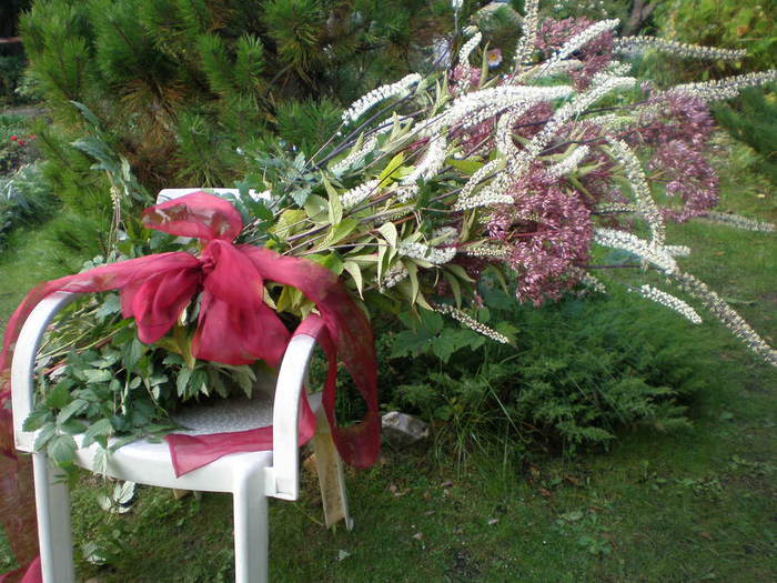 P9130094 (525x525, 81Kb)